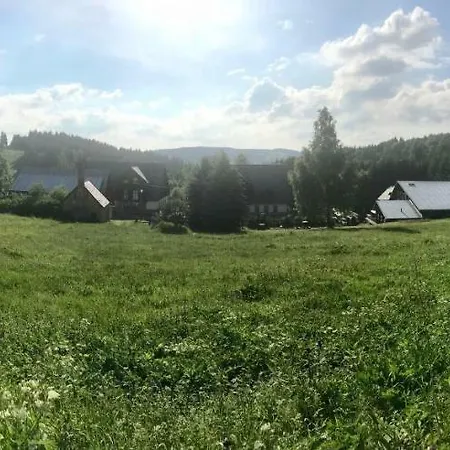 Heidi *